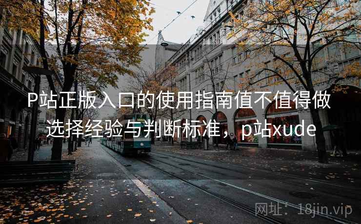 P站正版入口的使用指南值不值得做 选择经验与判断标准，p站xude