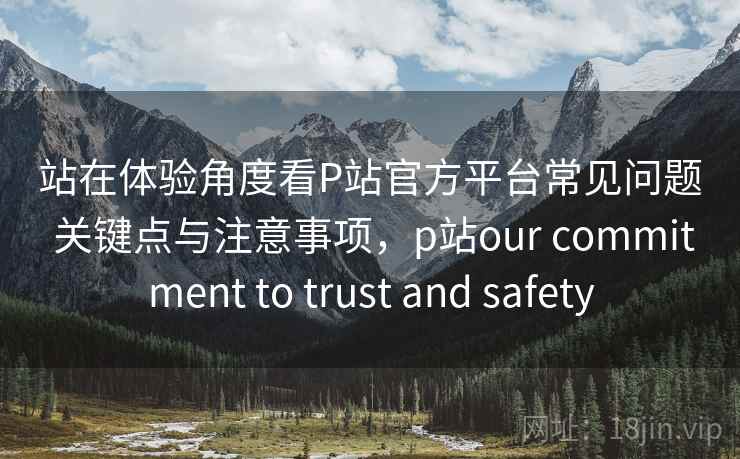 站在体验角度看P站官方平台常见问题 关键点与注意事项，p站our commitment to trust and safety