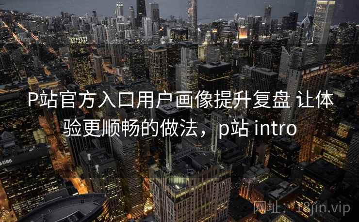 P站官方入口用户画像提升复盘 让体验更顺畅的做法，p站 intro