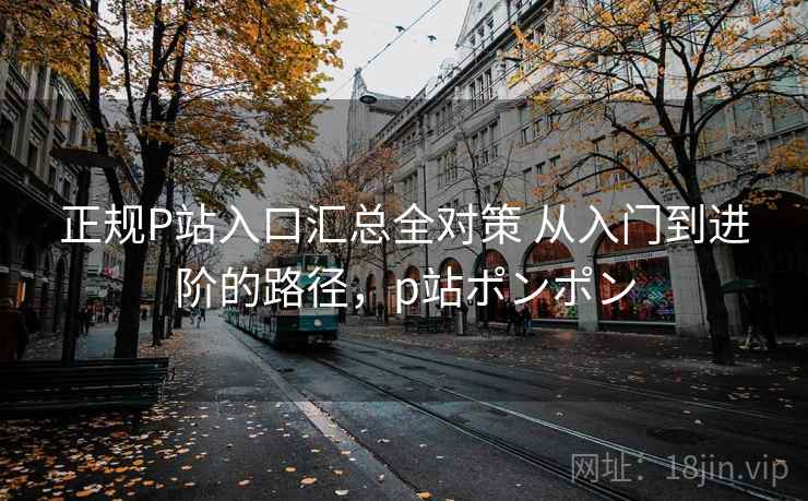 正规P站入口汇总全对策 从入门到进阶的路径，p站ポンポン