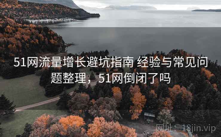 51网流量增长避坑指南 经验与常见问题整理，51网倒闭了吗