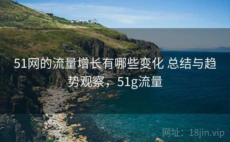 51网的流量增长有哪些变化 总结与趋势观察，51g流量