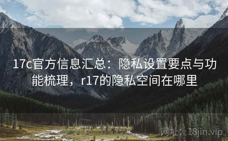 17c官方信息汇总：隐私设置要点与功能梳理，r17的隐私空间在哪里