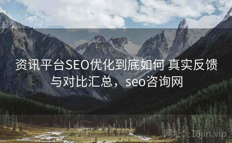资讯平台SEO优化到底如何 真实反馈与对比汇总，seo咨询网