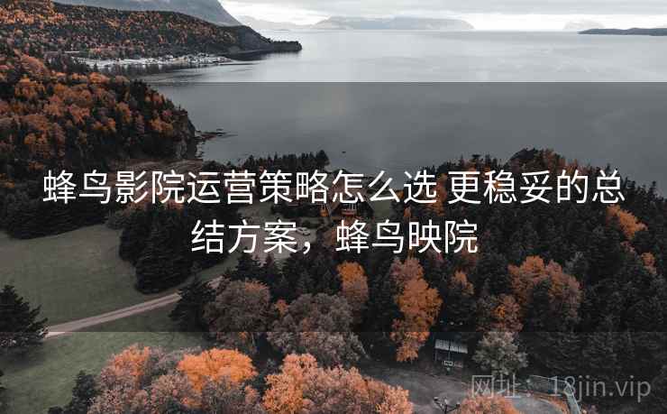 蜂鸟影院运营策略怎么选 更稳妥的总结方案，蜂鸟映院