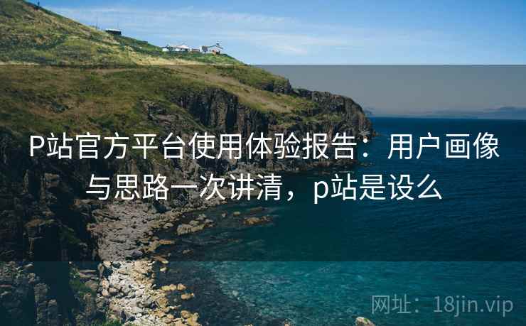 P站官方平台使用体验报告:用户画像与思路一次讲清,p站是设么 P站官方平台使用体验报告:用户画像与思路一次讲清,p站是设么