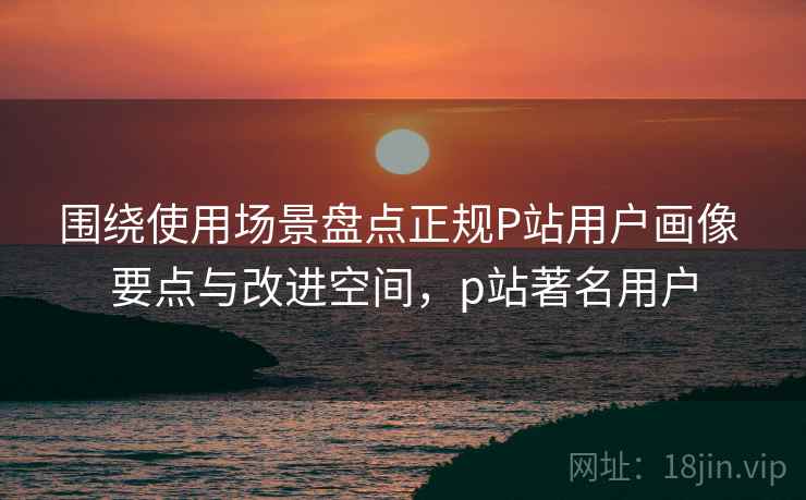 围绕使用场景盘点正规P站用户画像 要点与改进空间，p站著名用户
