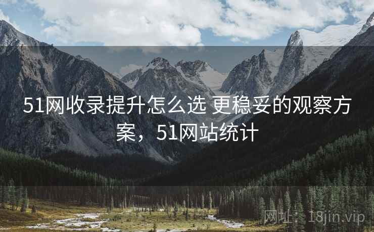 51网收录提升怎么选 更稳妥的观察方案，51网站统计