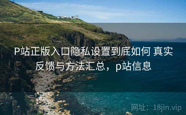 P站正版入口隐私设置到底如何 真实反馈与方法汇总，p站信息