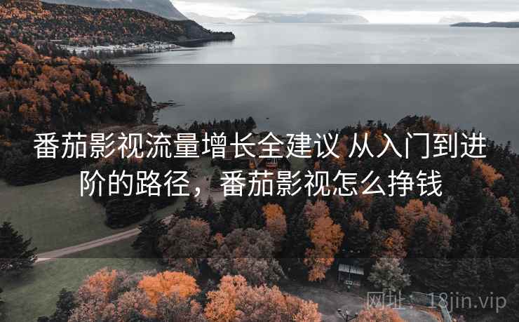 番茄影视流量增长全建议 从入门到进阶的路径，番茄影视怎么挣钱