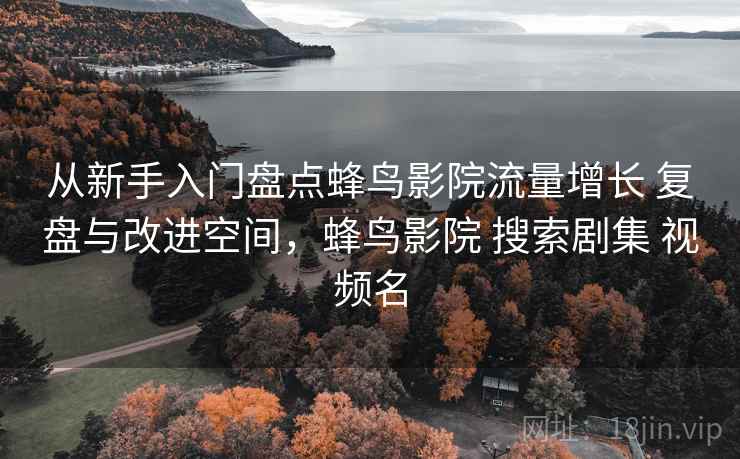 从新手入门盘点蜂鸟影院流量增长 复盘与改进空间，蜂鸟影院 搜索剧集 视频名