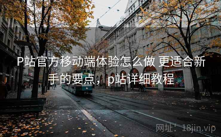 P站官方移动端体验怎么做 更适合新手的要点，p站详细教程