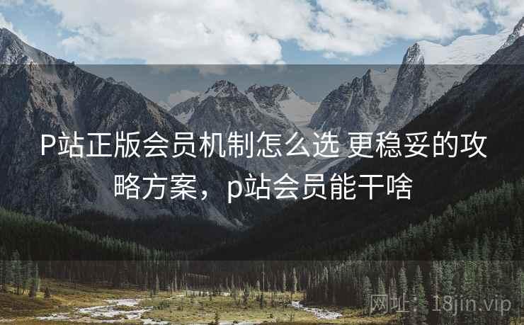 P站正版会员机制怎么选 更稳妥的攻略方案，p站会员能干啥