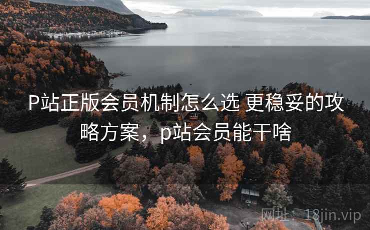 P站正版会员机制怎么选 更稳妥的攻略方案,p站会员能干啥 P站正版会员机制怎么选 更稳妥的攻略方案,p站会员能干啥